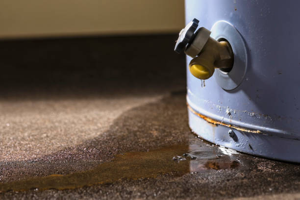 Best Mold removal after water damage  in Chatham, IL