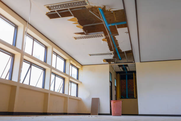 Best Flood restoration services  in Chatham, IL