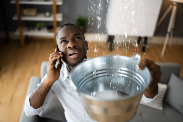 Best Sewage cleanup and water damage restoration  in Chatham, IL