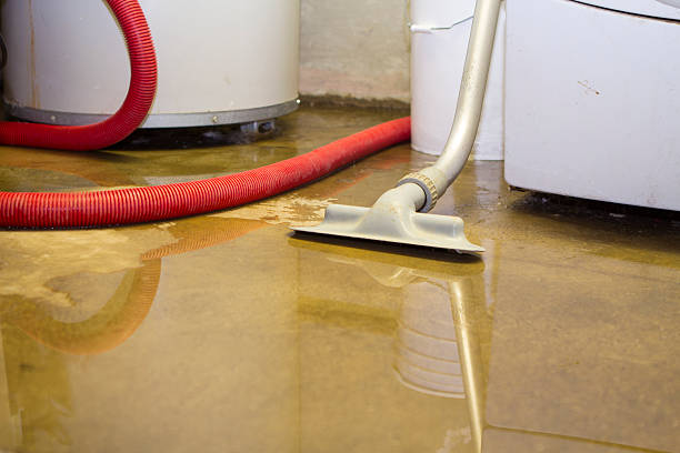 Trusted Chatham, IL Water damage restoration Experts