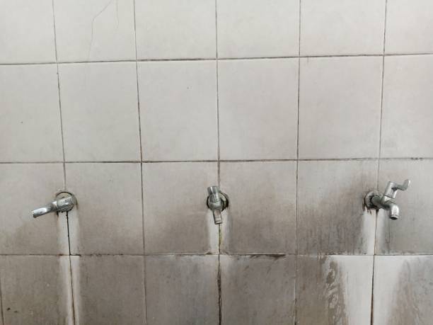 Best Commercial water damage restoration  in Chatham, IL