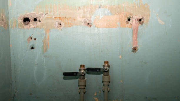 Best Water damage restoration near me  in Chatham, IL