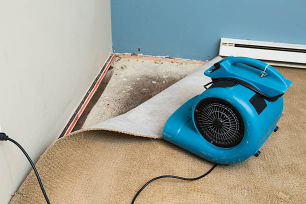 Best Water damage restoration near me  in Chatham, IL